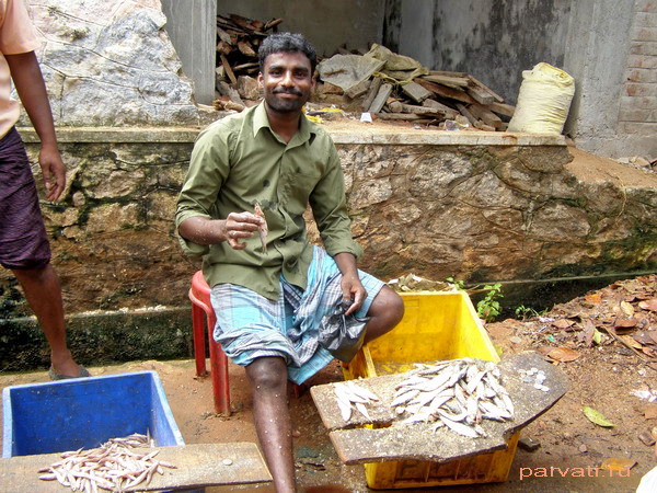 Продавец рыбы